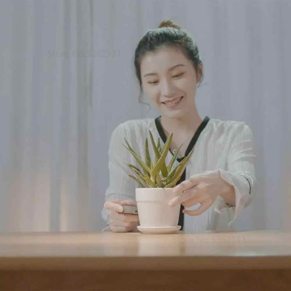 Woman holding a potted plant in a softly lit room